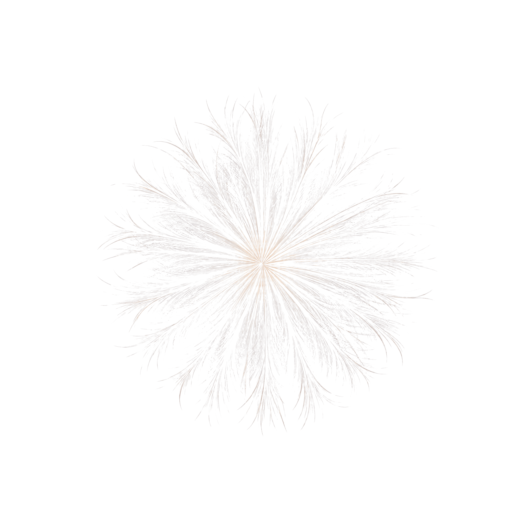 logo_nfktr-1