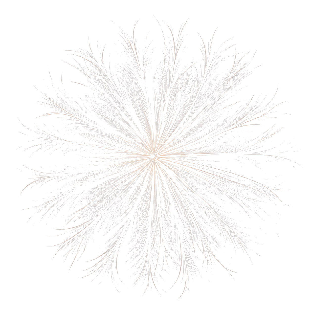 logo_nfktr-2