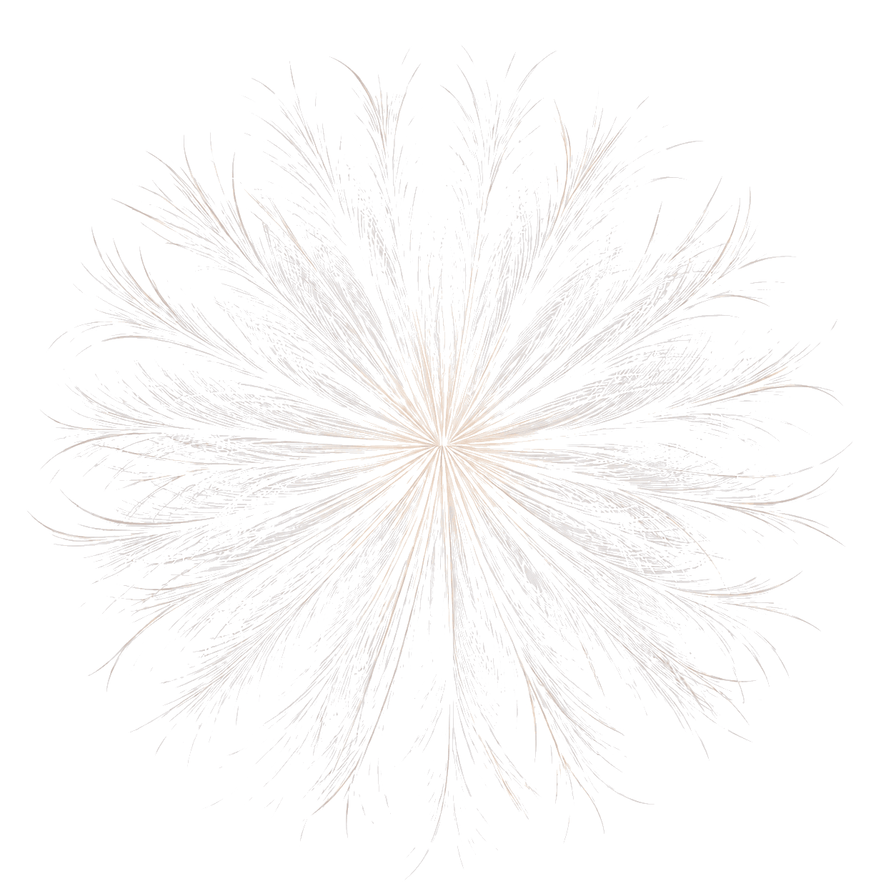 logo_nfktr-4