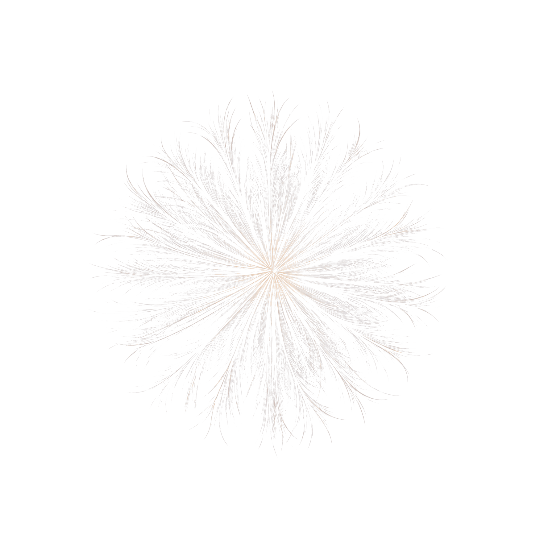 logo_nfktr-5