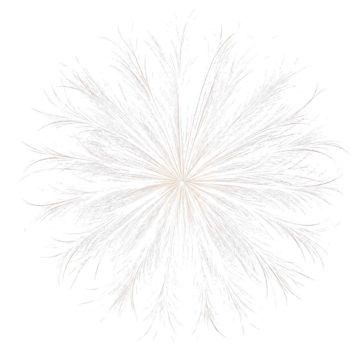 logo_nfktr