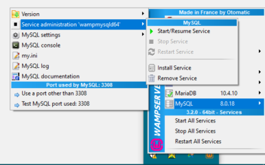 wamp server chrome tarayıcı da phpmyadmin açılmaması sorunu çözümü