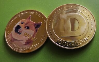 Doge coin nedir
